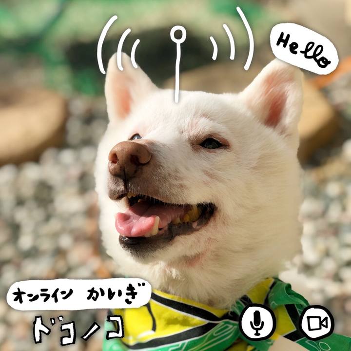 14a94af1 e35e 4cec a738 e4f9e9a67b30 1590758402599