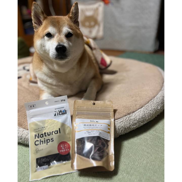 14a94bd2 e82d 4be2 b7ad 515dbcd23b4b 1700207630242