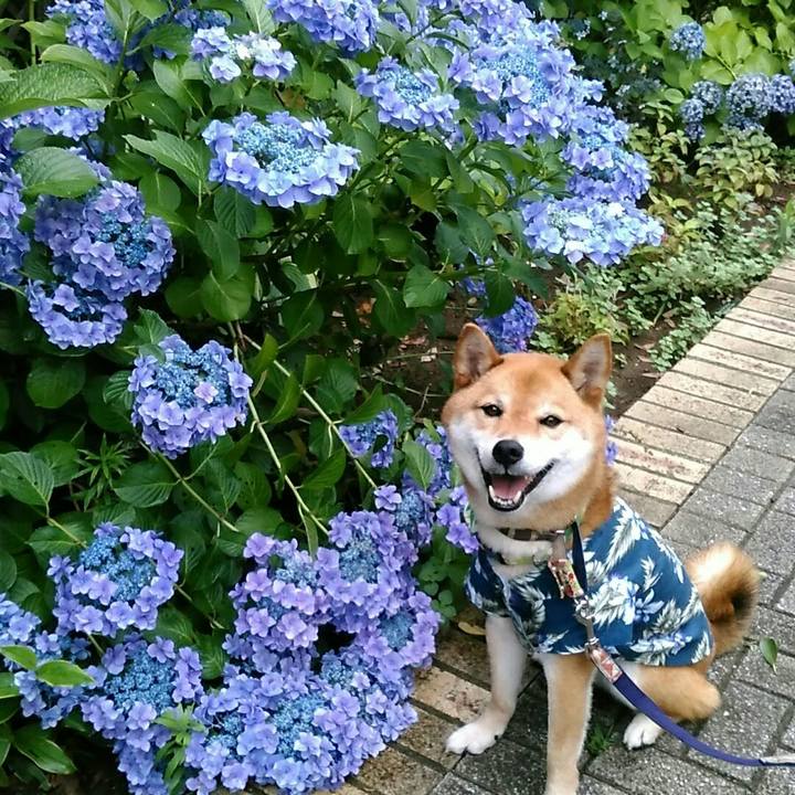 14a95c19 7adb 40a8 93a8 7c763f375229 1561880140807