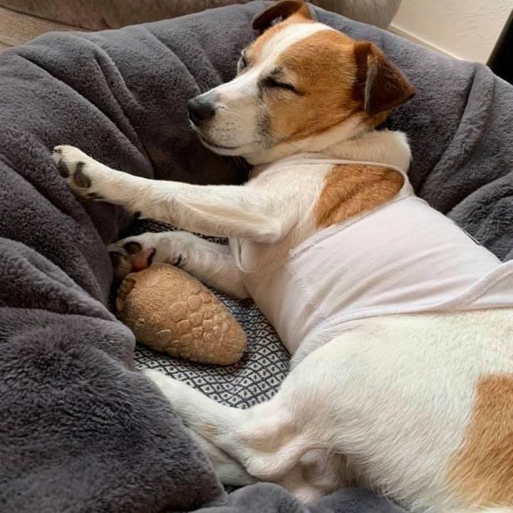 14a96c46 6b93 4e2f 8891 c23a8a97b8dc 1655122739832