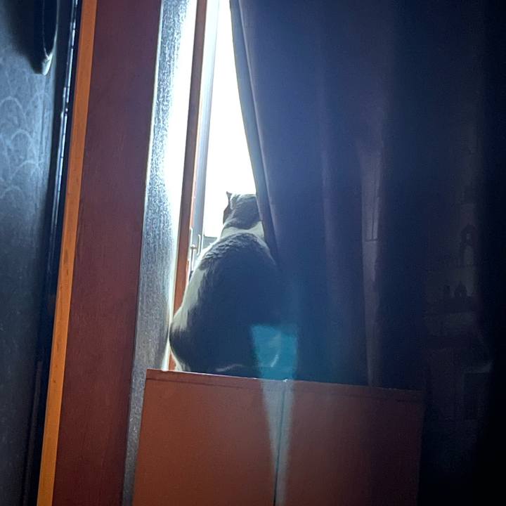 14a9883c 662a 431f 913c 087a5371287c 1660940841636