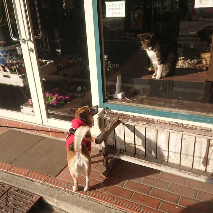 14a9d01d 6cb8 4313 843e 662c653044ae 1518313162789