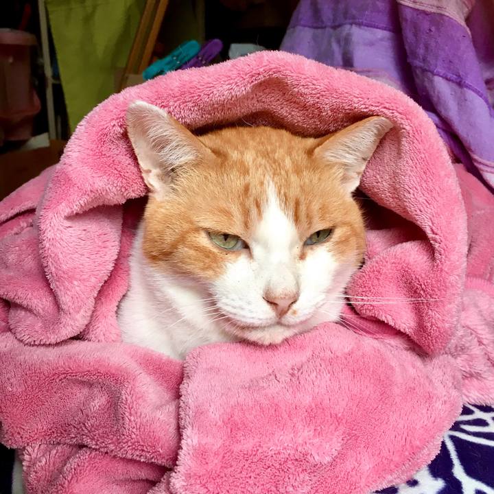 14a9eec2 46c7 4011 b565 2f2c194cfffc 1571396761778