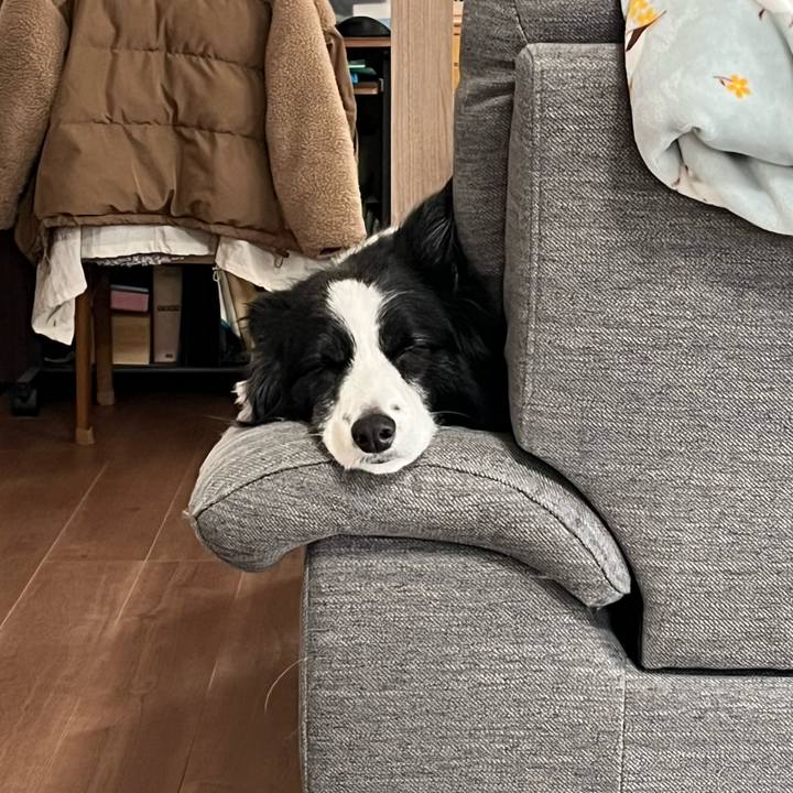 14aa1f8a c21e 48f1 8ca5 1678c22e40e6 1773528412440