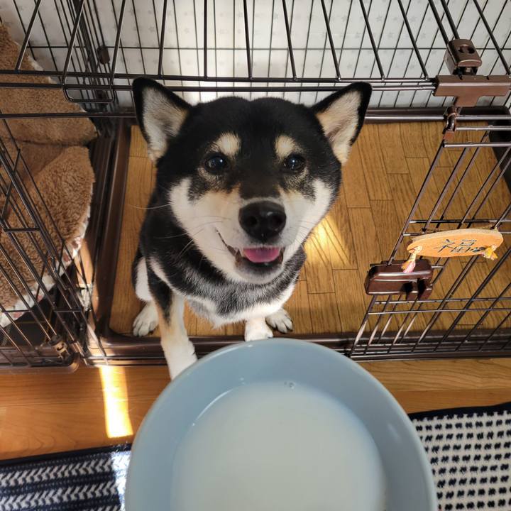 14aa23fa 8f37 474d 8cbb 935a6eee605d 1762902967889