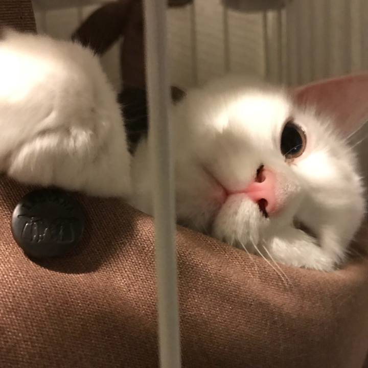 14aa2451 c62e 44f1 94e8 d2f1c0121e80 1510145882816