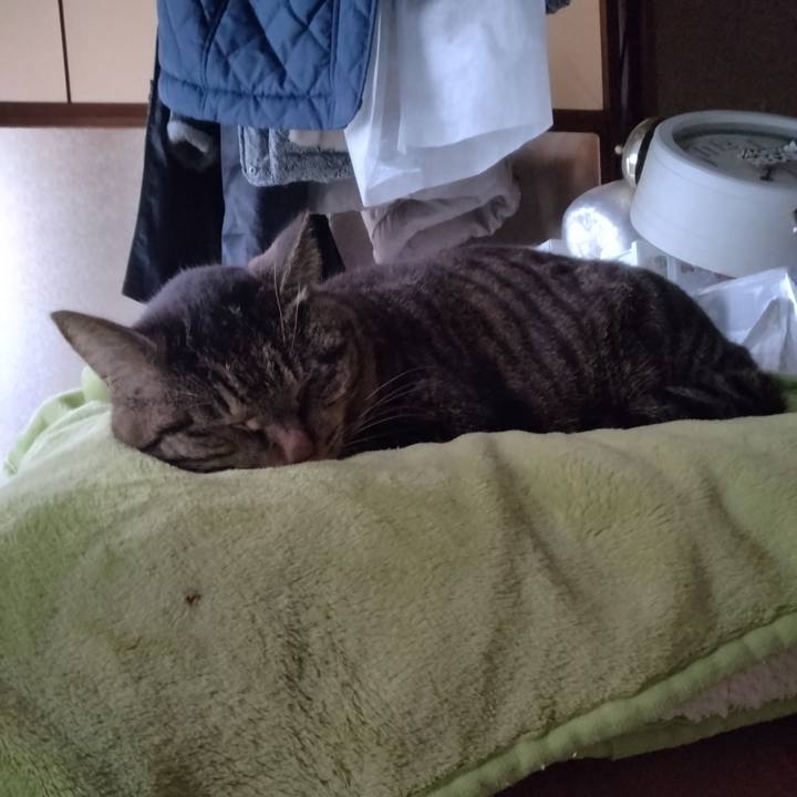 14aa2afc 23ef 4fc2 a83f 0157cbf46e3f 1680303018306