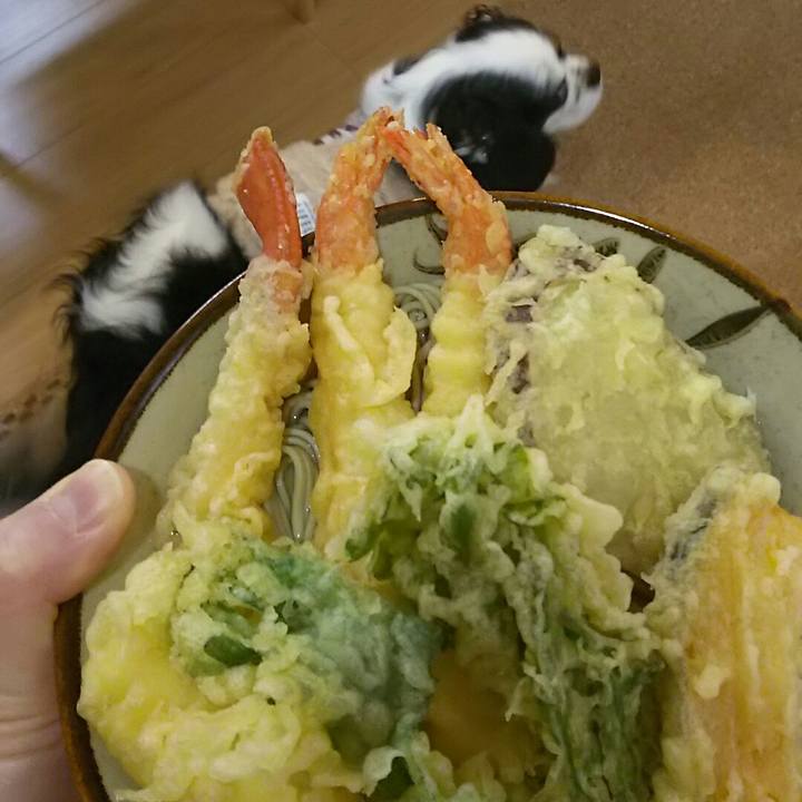 14aa39c0 01f4 45c6 a310 c082ab7dc38e 1546227210238