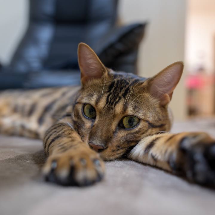 14aa5944 2049 4957 ad55 557883c4451e 1518530338143