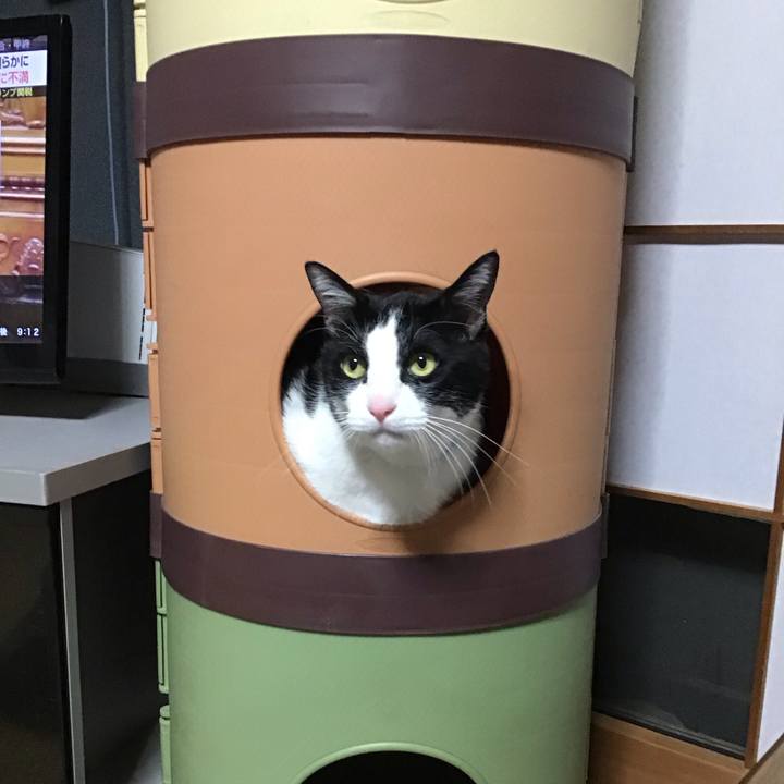 14aa7d50 4754 4c84 b8c7 1a22890fd5bf 1744981178568