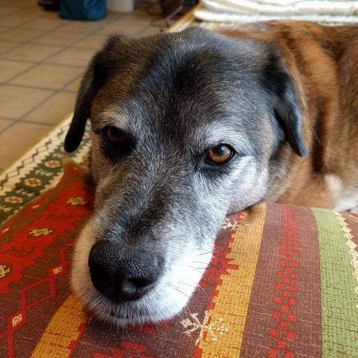 14aa9bb9 03df 44bc ae0f f43b5e095e19 1520740250128