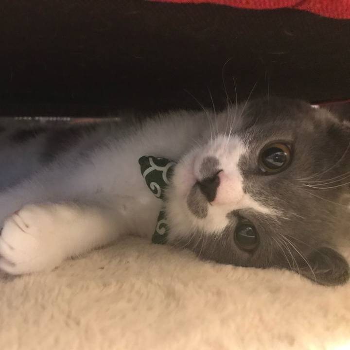 14aaae05 2dd1 46a9 baba 7c93cb9a5abd 1726560544235