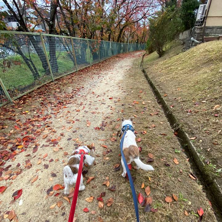 14aab76b eeb2 4dc1 a97f c7f00acbfe13 1668305743527