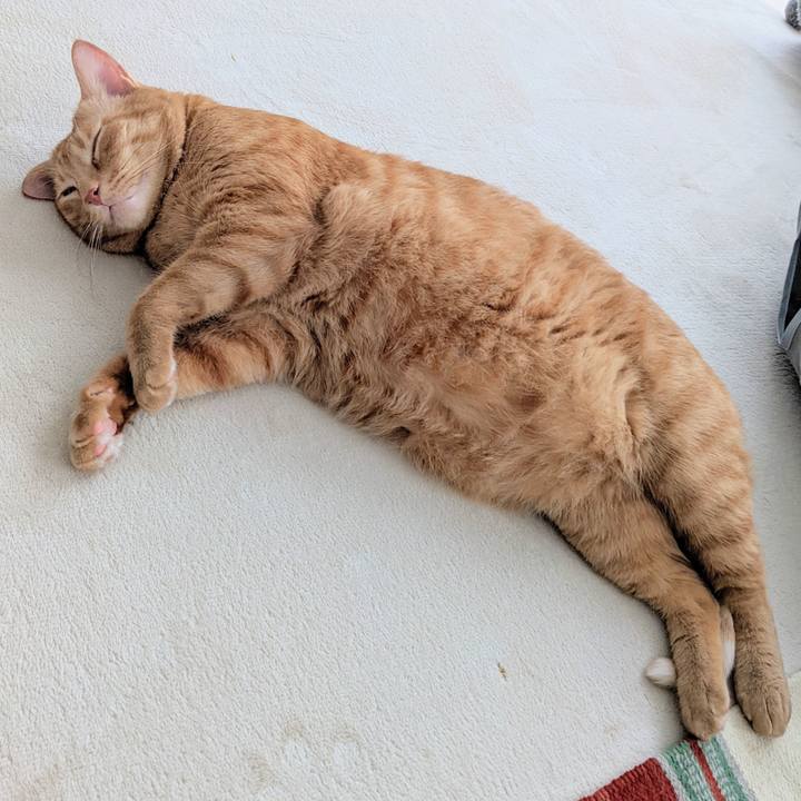 14aae0c2 5236 4198 ba1d b5503d8de99f 1659837207449