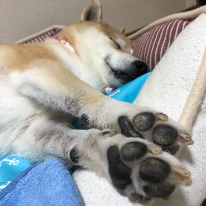 14aaec27 d36b 47df 9caf f8dda934cf28 1563440338466