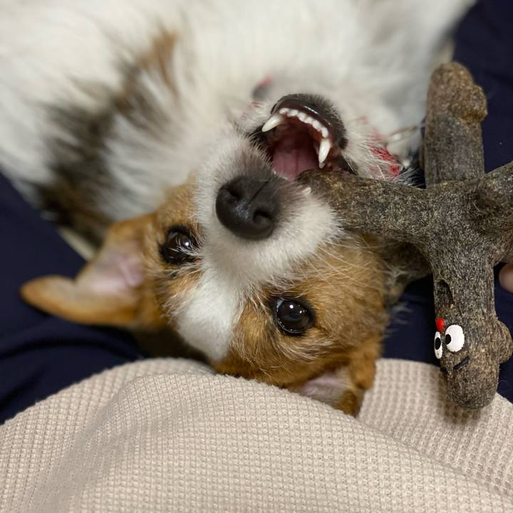 14aaff3e 35aa 44d4 906d b06cbaa61fa8 1649805449398