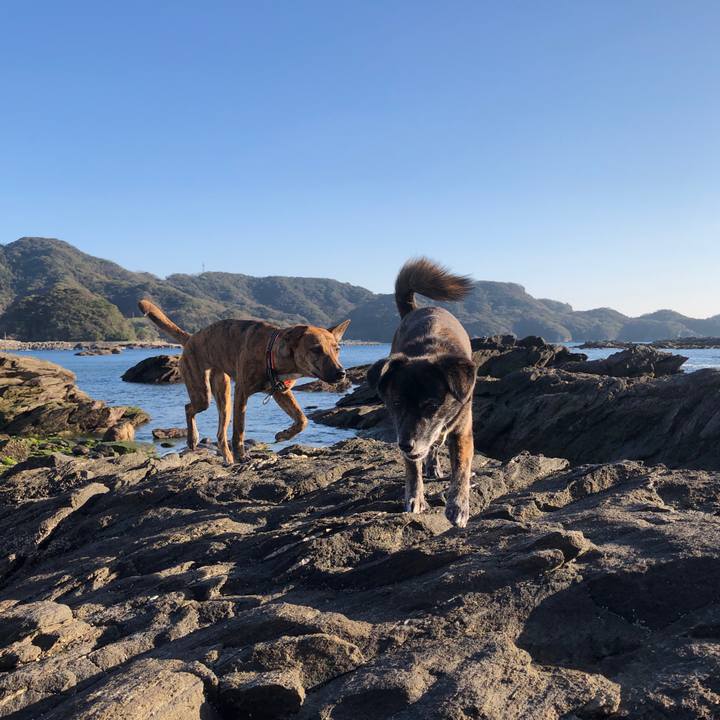 14ab1cfa ca59 43f9 b530 c99880a147af 1583221497481