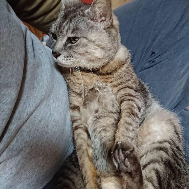 14ab1dea 46a0 4eec 9b58 d24c81ed31b0 1563221684520