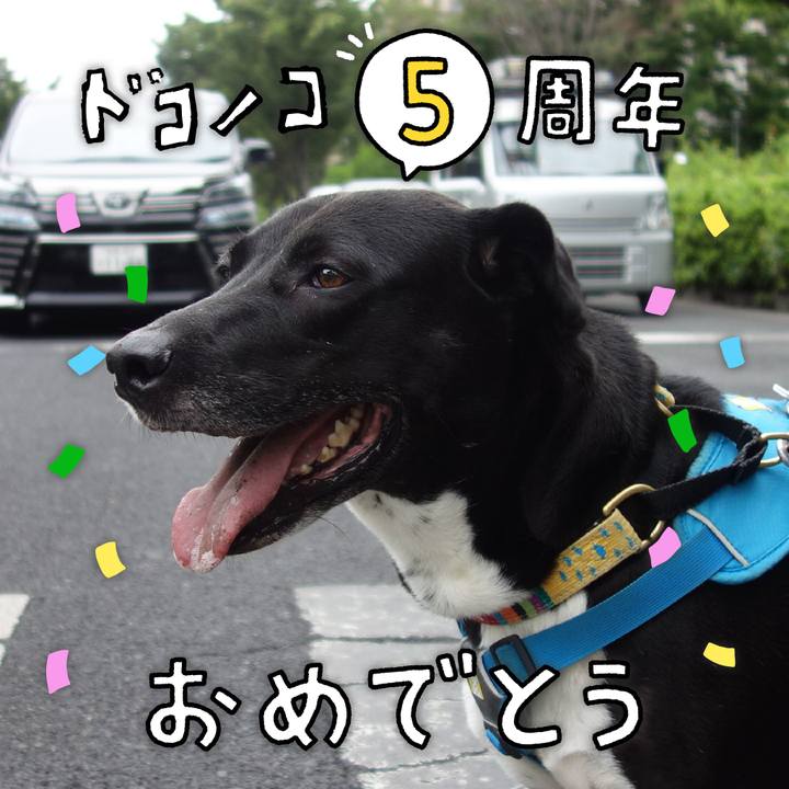 14ab58fc a12f 4b79 b303 f97008b146a1 1622854448693