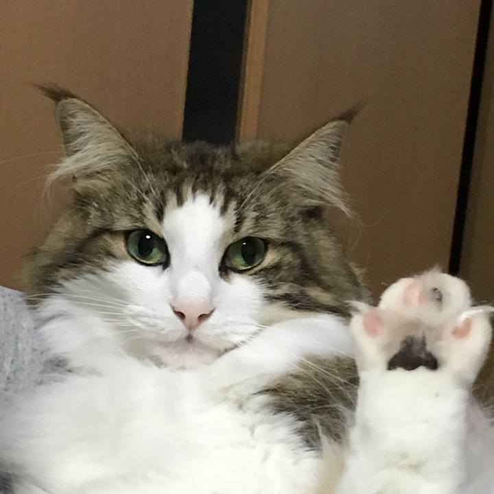 14ab6fb7 3a7e 4137 a5f7 345695517450 1508762864016