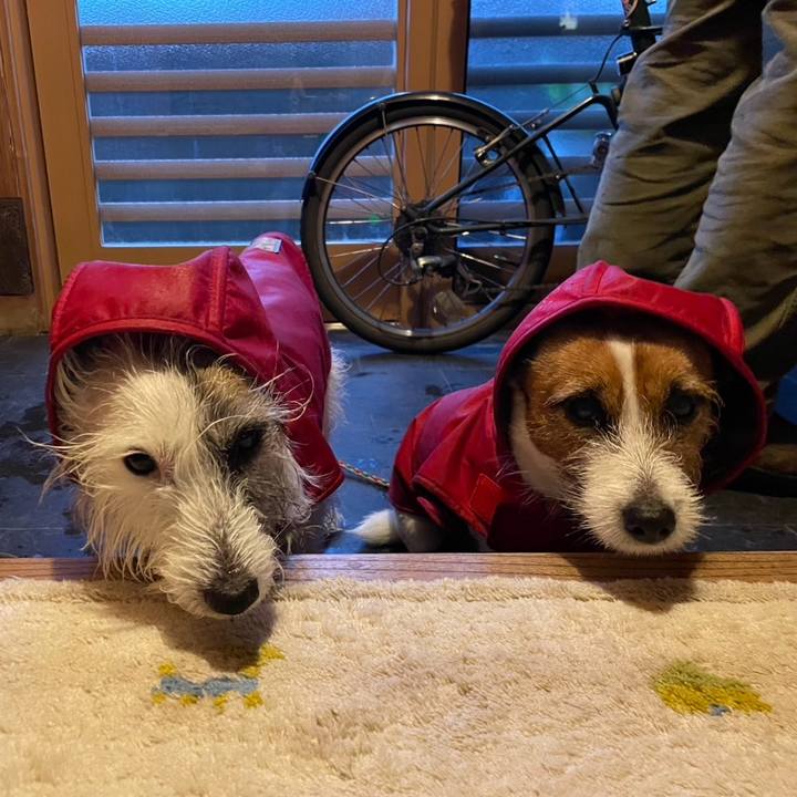 14ab9886 97c8 4332 96ca 5f6f98414f19 1734390638824