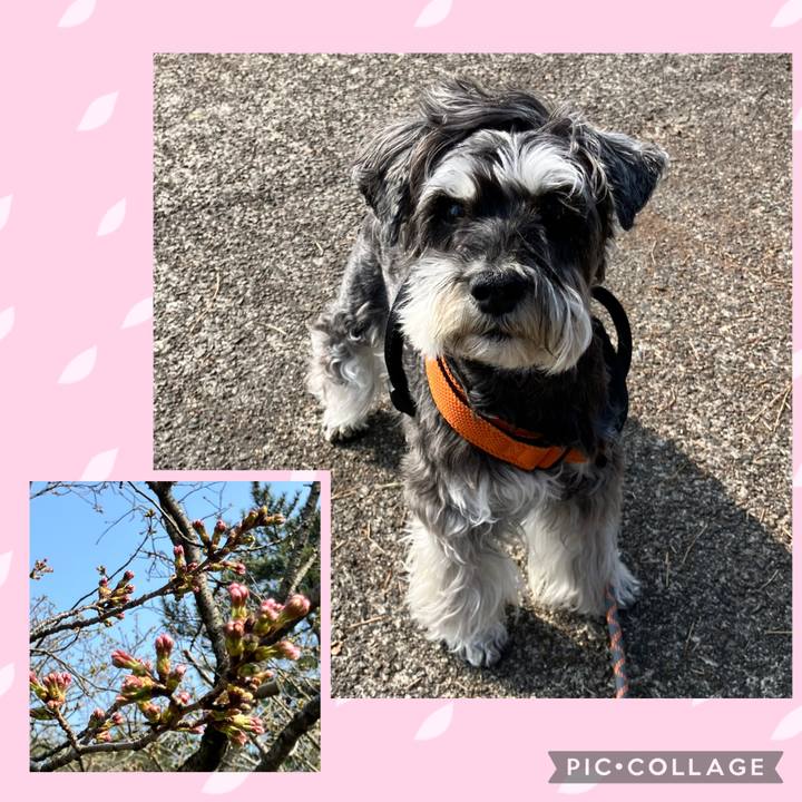 14ab9d7e e41c 428b a25f ad7ba4f20853 1774792774879