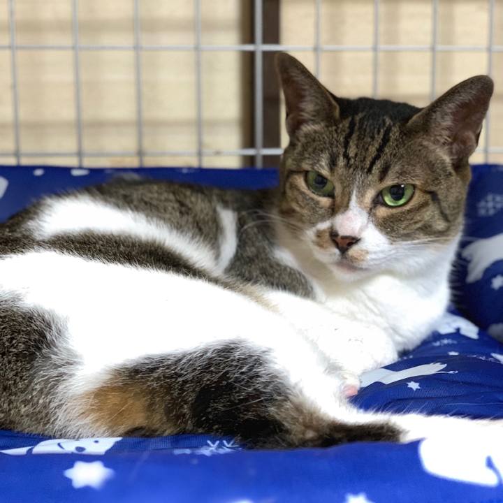 14abd5c1 eae6 41d3 95e0 2b8efaeabecd 1564705185904