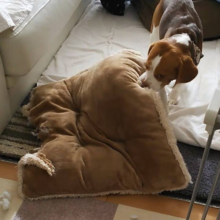 14abdf1c 23c4 4bde 9a79 8bbdd229621f 1578308113142