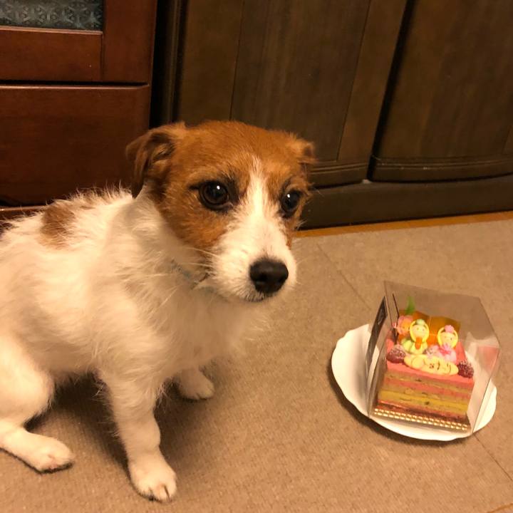 14abecec d0c3 499b 99ea a35811342dbe 1520081039126