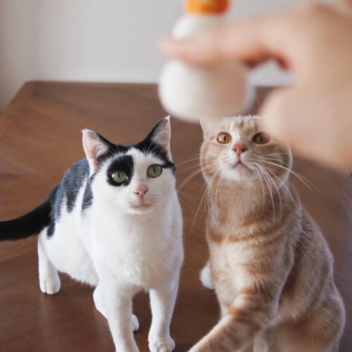 14ac32b2 48ee 41ce 86d6 8a3c16c9e835 1578019897161