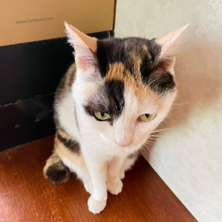 14ac43bf de12 4337 b52e 08ba3a1a203e 1654829228495