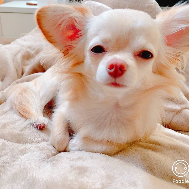 14ac50ab 3216 47ae a008 2723dca02174 1622680497670