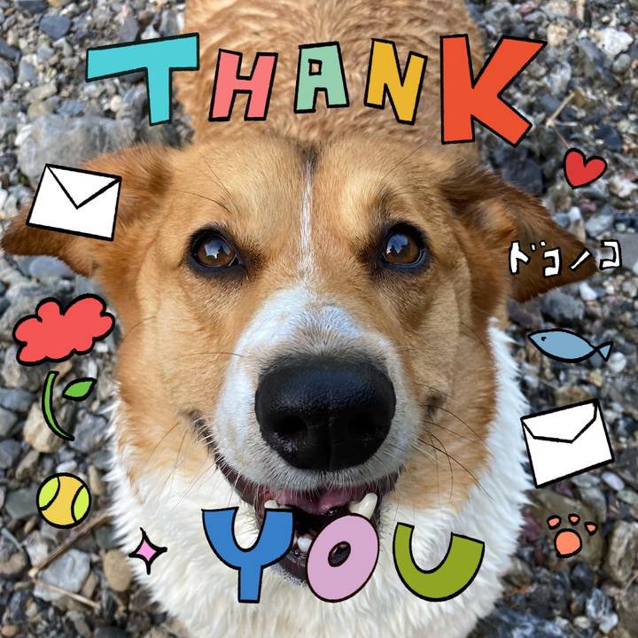 14ac567c acdb 42d5 bd58 09e7e2b2ea90 1715393770851