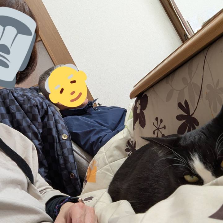 14ac8336 7bad 4d4d b454 5e382339023c 1743247023697