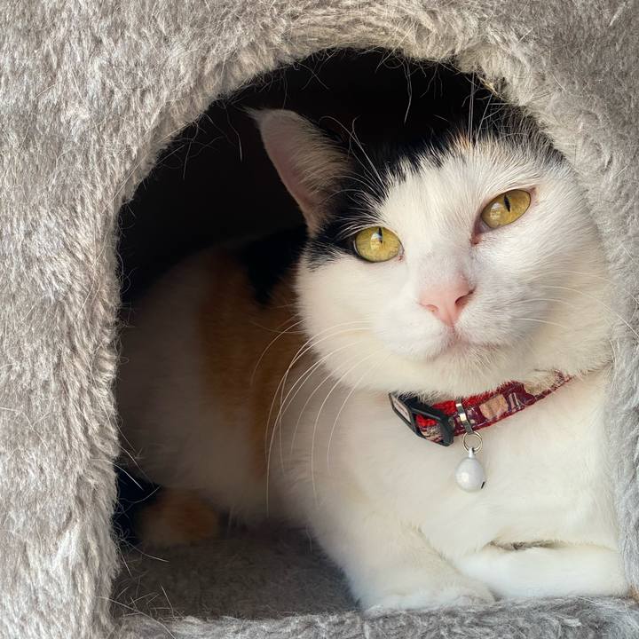 14ac8353 e3ac 4751 926e 7c712bb81d8e 1650787021486