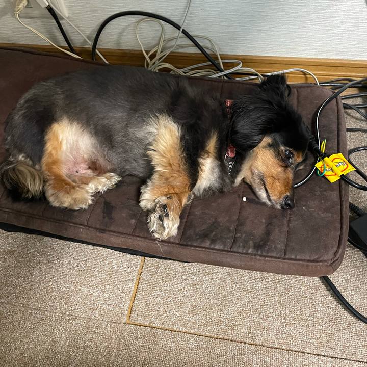 14ac994c c7bf 47f8 8f29 e19d6b4909f2 1621201684889