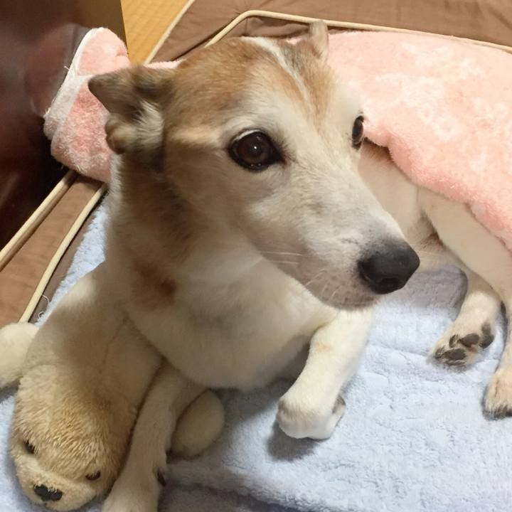 14acc1d4 3ac7 46be 90e7 2325b2911d50 1532519063199