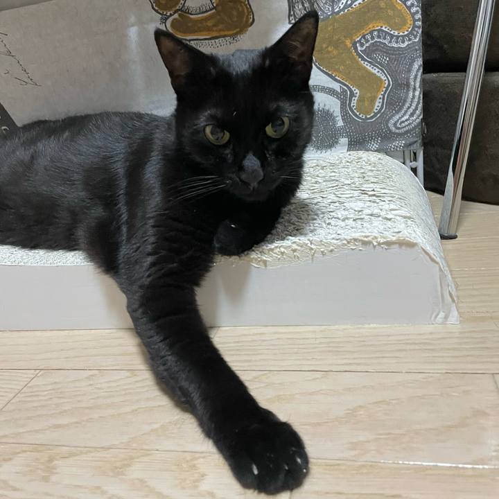 14acce86 cccd 463a ac12 6a0a31e9414a 1756811776680