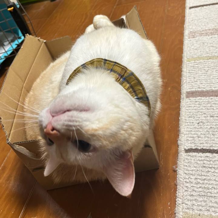 14acd51c 7880 43c2 8a38 2e5d0ba3b047 1755921451772