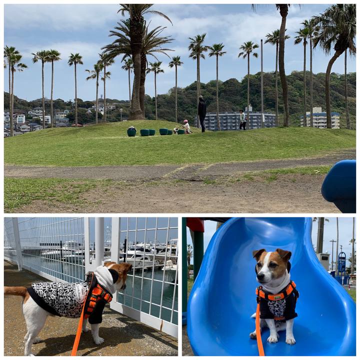 14acdc11 6853 4928 80c4 15b7a1c01a61 1555728220388