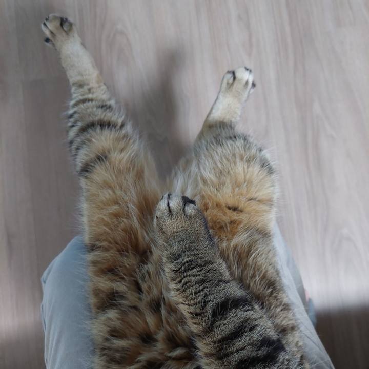 14ace8a4 9df4 436e b723 92c98c76d8ef 1671317542490