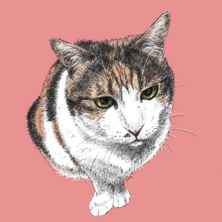 14ad08ac 32c4 4fda a6db dd8e359091ca 1577888077481