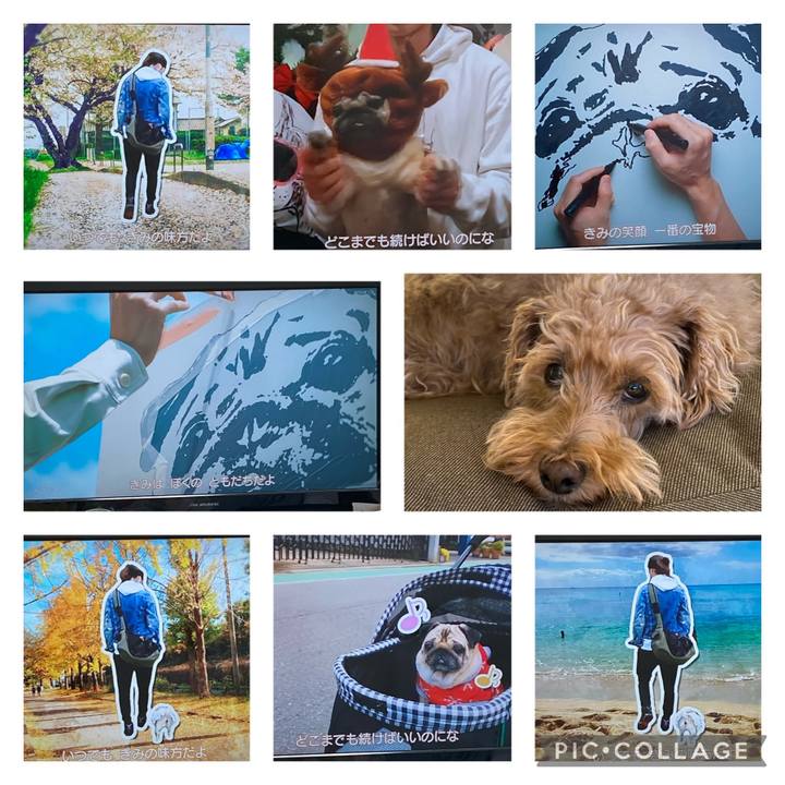 14ad0e3f 2fd4 4dd1 bc26 84cdbb2bca07 1697060997774