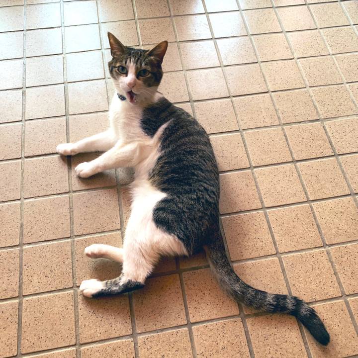 14ad5f50 a21c 4bc1 81f1 3188ffc60b97 1557041644083