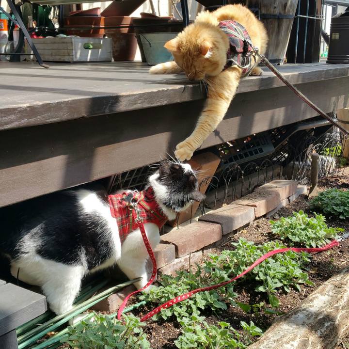 14ad7efd ed81 49ac 8048 38dc66d7b5f4 1523498023852