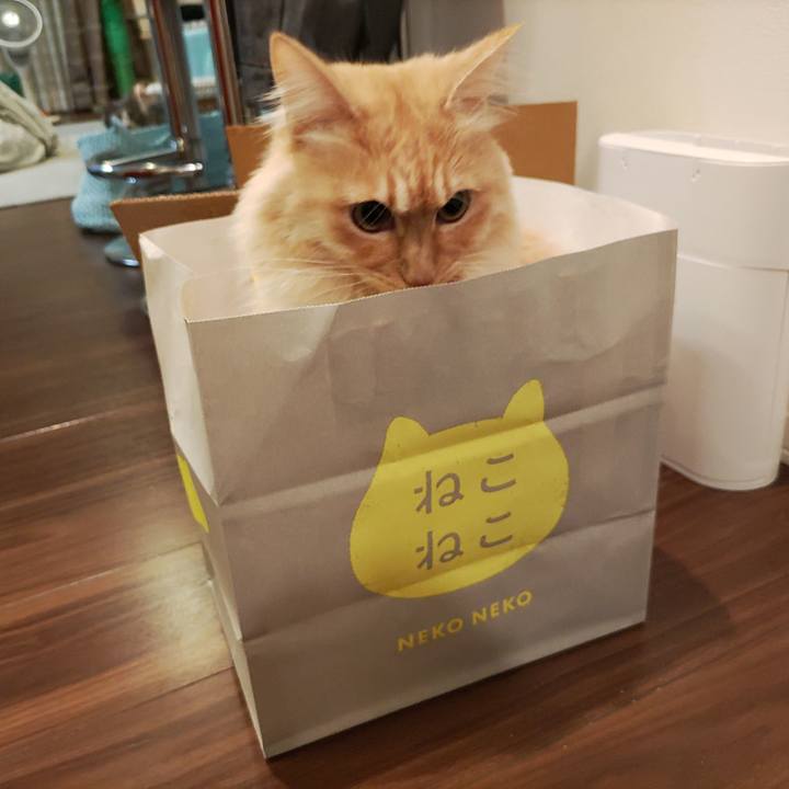 14ad8da1 09cc 4094 b11a 517c9014cbdb 1670678887588