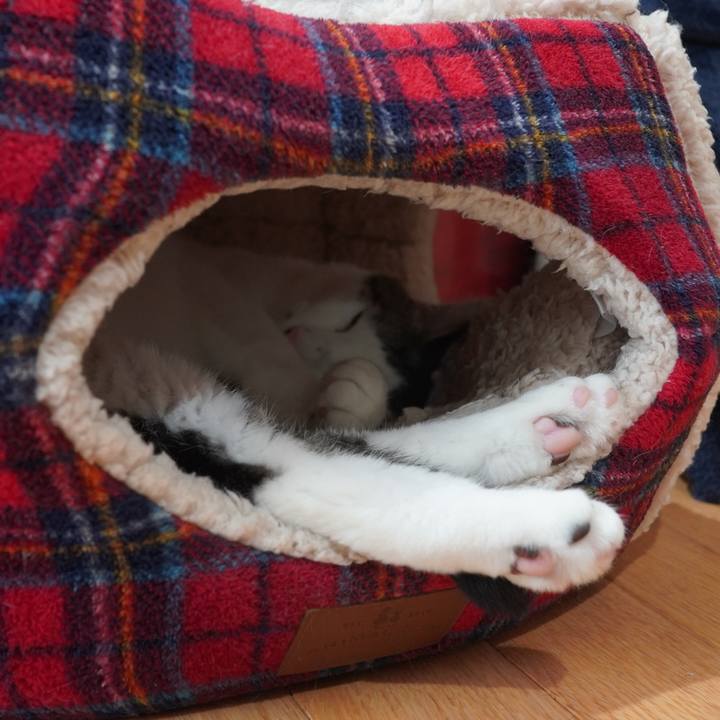 14add302 bf42 4725 a6d0 7b0590e14e68 1599573856713