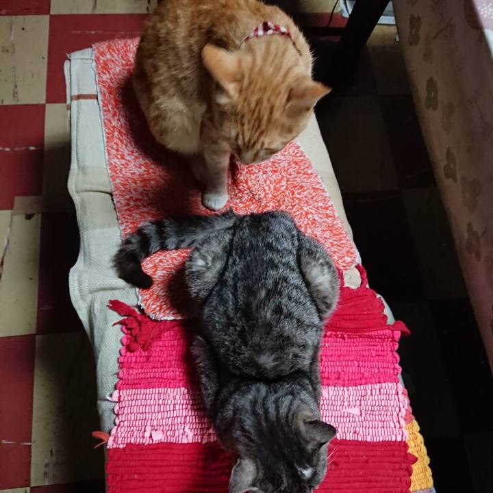 14add951 23e9 45e5 bdc3 271adcf05dbe 1559902818765