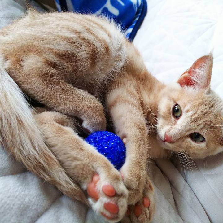 14ade9a2 8bc2 4082 a836 7d2e236b2b0e 1540705031764