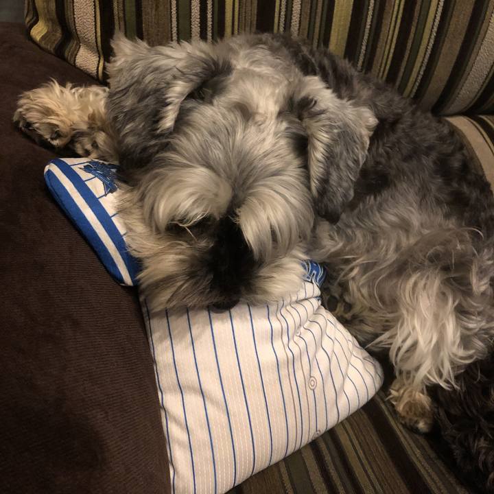 14adf3ba efd7 4e38 886e 7b630e3d88a6 1562328057066